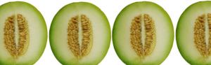 Abriendo melones entre las entidades de la Economía Social y Solidaria y la financiación ética
